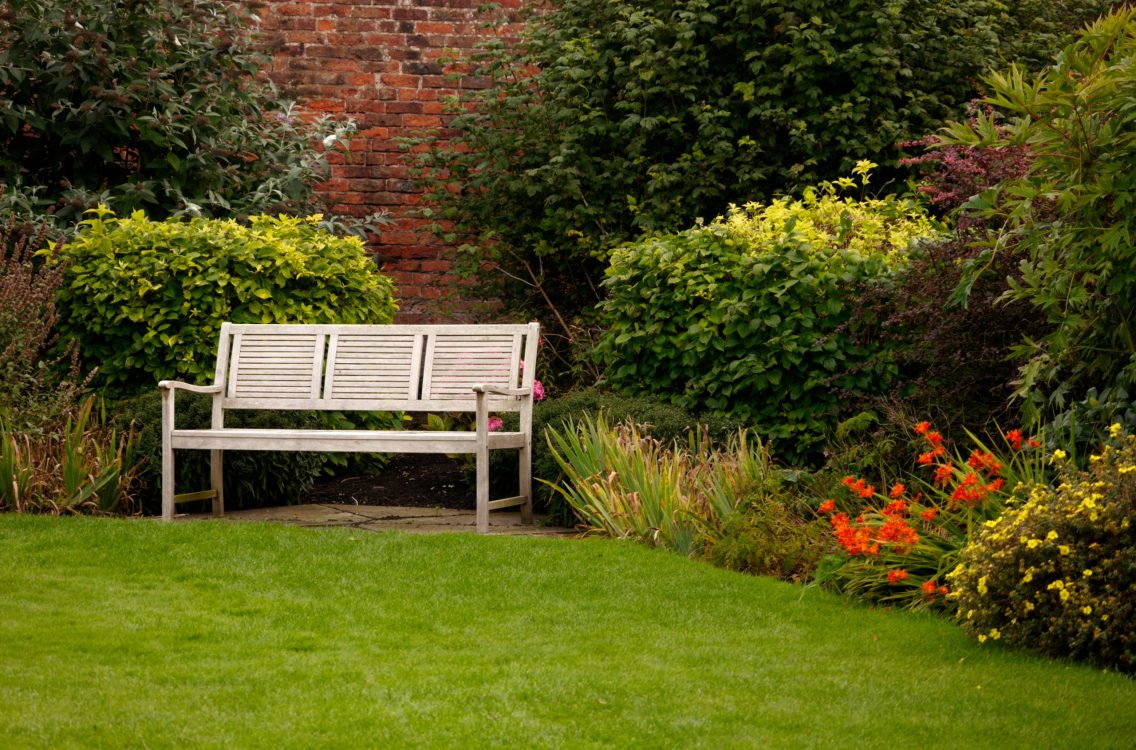 A shot of a white bench in a park